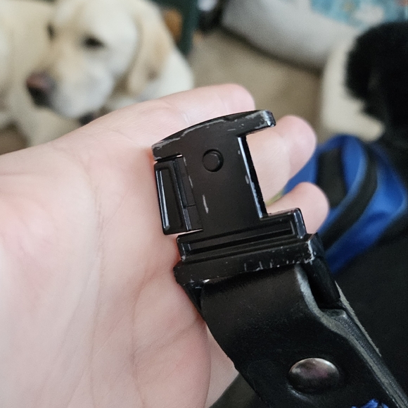 Proceeds towards Service pup gear - Picture 3 of 3